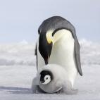 5c8acabd2000009e046fc1b1