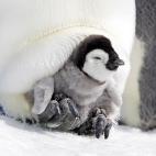 5c8acabd3b000070066c9537