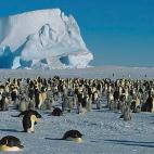 5c8acabd2300007f0123b784