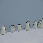 5c8acabd3b000072066c9539