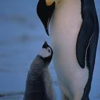 5c8acabe230000d50423b786