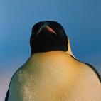 5c8acabe2500000704c9a80b