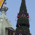 5c8b583624000093024d3e14