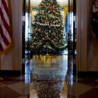 5c8b583722000030001aac29