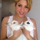 5c8a38df2400006f054b950a