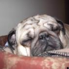 jchris7504:used to be my neighbor