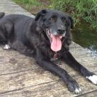 -Rebecca Searles, HuffPost