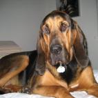 spforc:Bo Key Of Lake Mary Florida