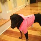 -Rebecca Searles, HuffPost