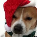 rmurrayatlanta:Lady GaGa is her name, Chritmas is her game.