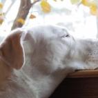 karrn64:My beautiful girl...may she rest in peace.