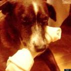 usehernametoo:I'm not sharing!