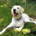 avena7:Catchin' some rays. Everybody loves the beard!!!!