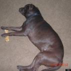 Saint8312003:Bone wasted!