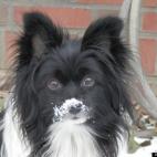 fields1313:I Love the snow!