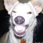 Kristen Stoup-Commeans:...she smiles at everyone she meets!