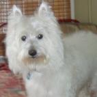 lamby:I just had a bath and may go to bed soon