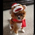 kjshampine:Bentley Halloween 2012