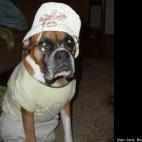 Jane Burkholder Rome:Dressed up and nowhere to go