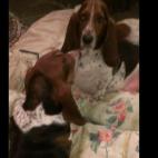 dianasilk:Mirror Mirror on the wall...