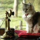 EdMay:Emma waits for her date to call