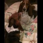 dianasilk:Mirror Mirror on the wall...