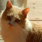 tenniskats:Her cuteness is a gift.