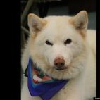 Maura Albert:Am I beautiful or what?