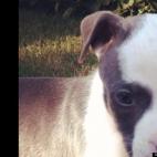 KayMayvz:This man was about to throw me into a river when these people took me in! Love my new loving family!