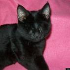 Mona Meyer:An amazing little girl!