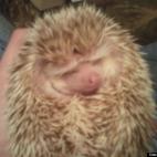 Nate Oleson:My little boy Gonzo :)