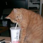 tucch:He misses the super-size meals...