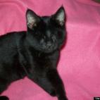 Mona Meyer:An amazing little girl!