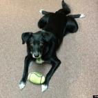 AmyKay315:Brooklyn loves coming to office with his mommy.