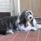 blyabr:watch out. she'll kiss you to death