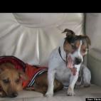 Blanka Misconi Lee:Great friends, make my life happy !