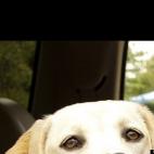 spball747:All American girls!