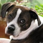 questforbalance:Rescued and loving it!