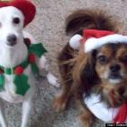 Kimberlie Reszetucha:Happy Holidays!