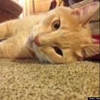 David Christensen:He loves being the center of attention.