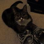 Donna Savage:She loves shoes!