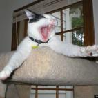 debpeanut:That's the funniest thing I ever heard