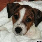 bagadoughnuts3:First bath!!