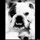 Stephanie Barr:Will the Real Slim Shady please stand up?!