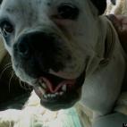 ridagrey53: I'm as mean as I am cute !!