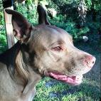 muadibe:She's always on the lookout.