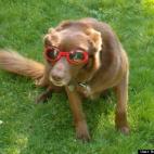 Norm Edelmann:Just hanging out being cool