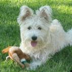 Bendana:"Snooper" and his favorite toy.