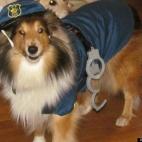 stefmoody:Put 'em up!