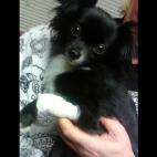 mcgebr:I have a boo boo, kiss it for me.